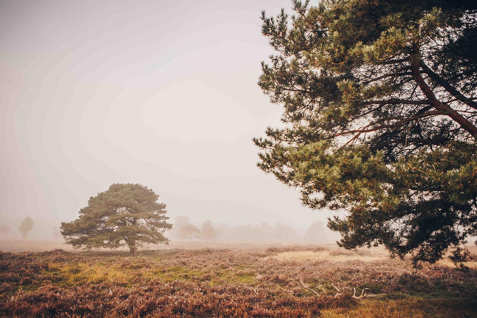 Ferienpark Drentsche Aa
