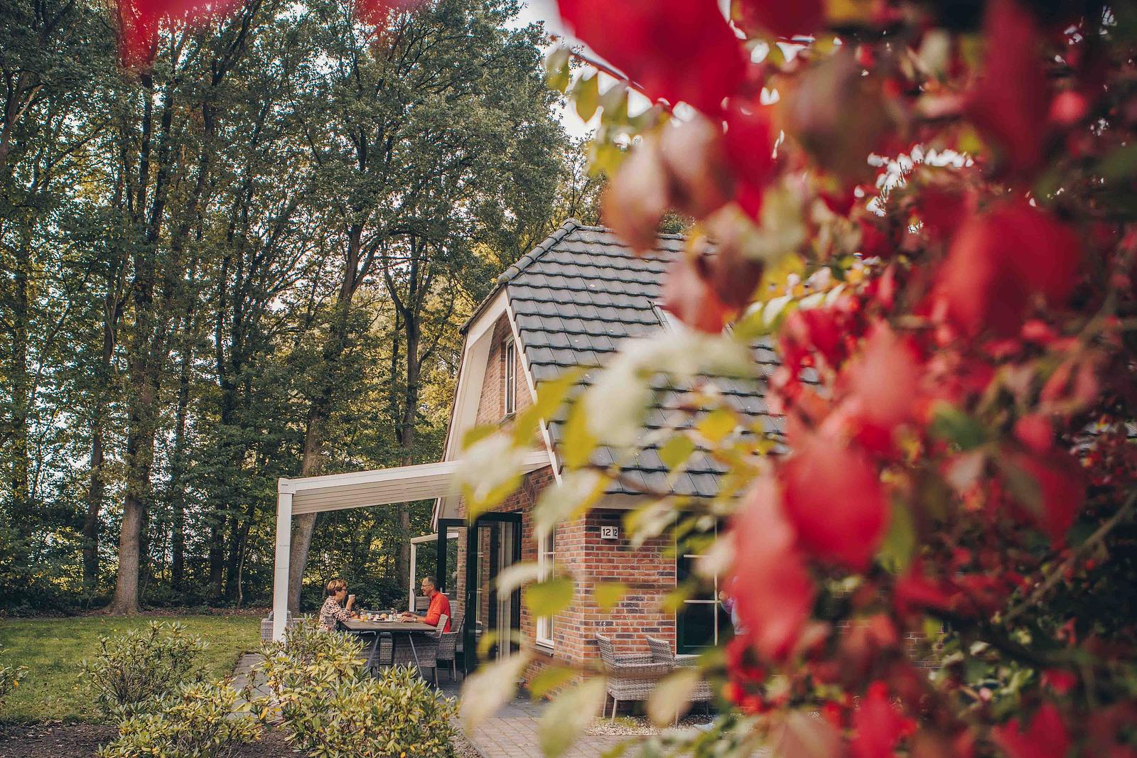 Ontdek onze accommodaties