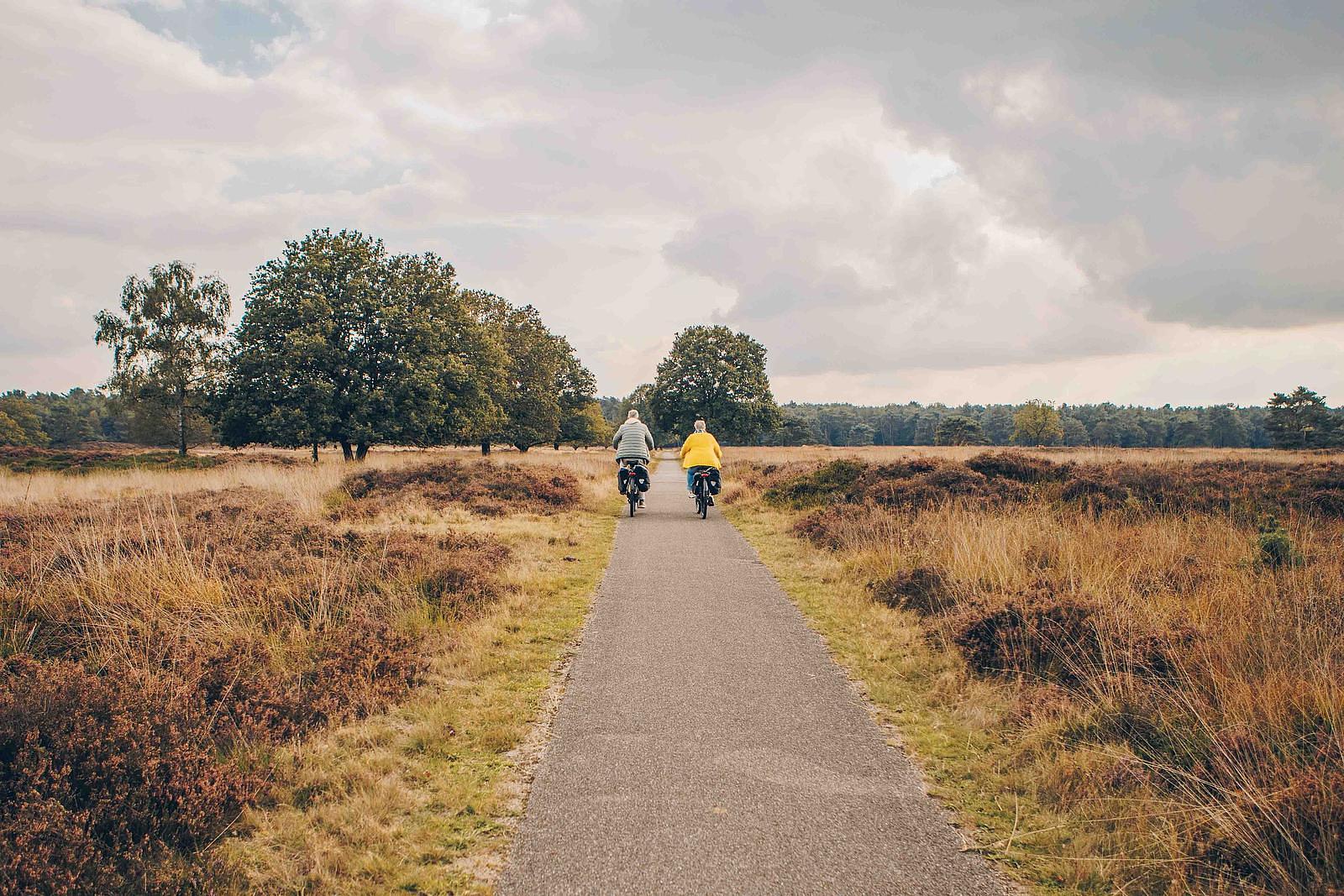 holiday for seniors the netherlands