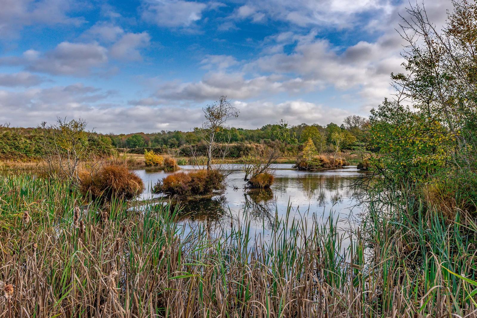 Vloethemveld
