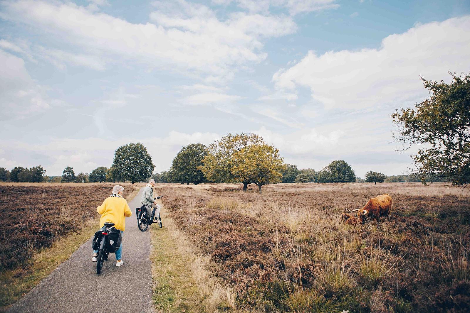 Herfstvakantie Nederland