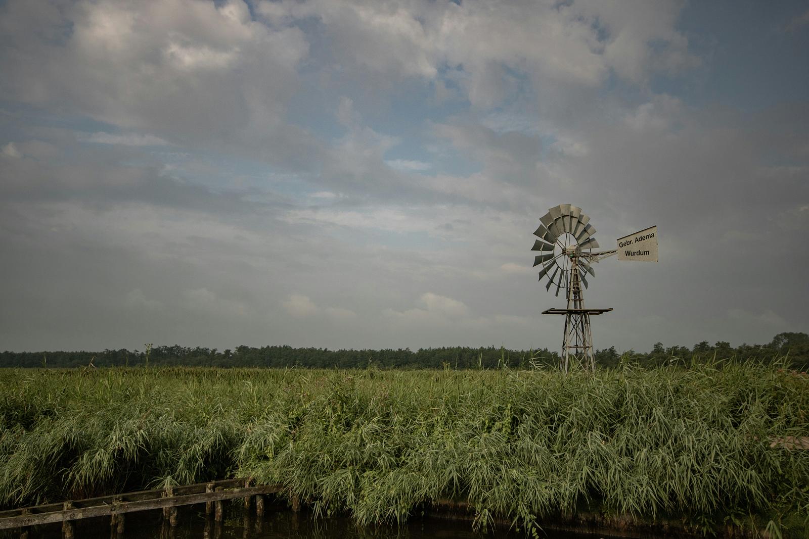 Nationaal Park De Alde Feanen