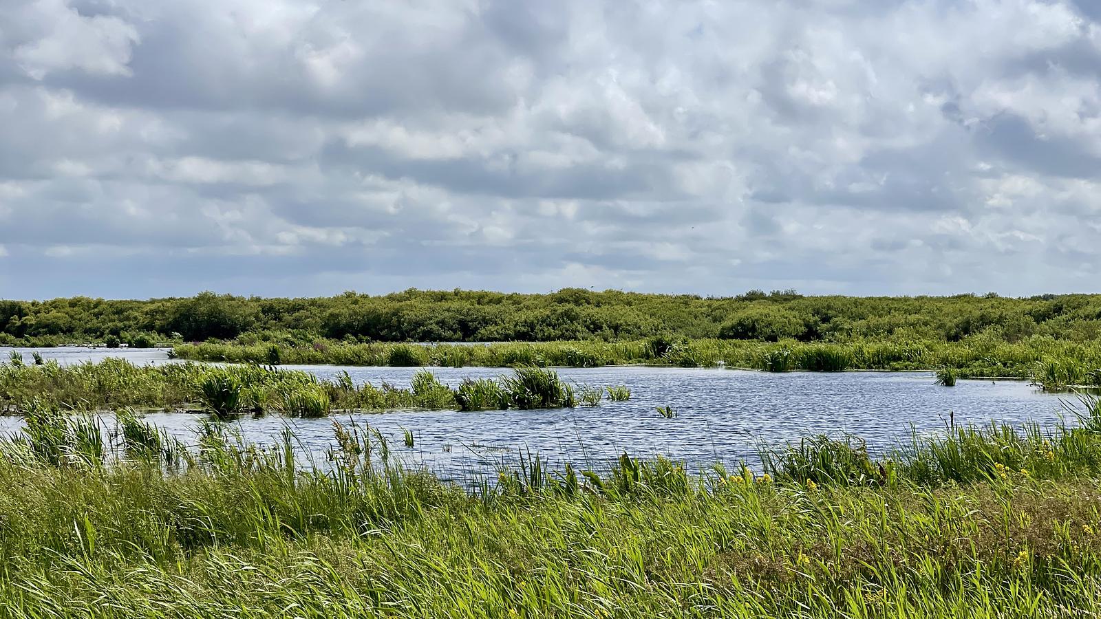 Natuur