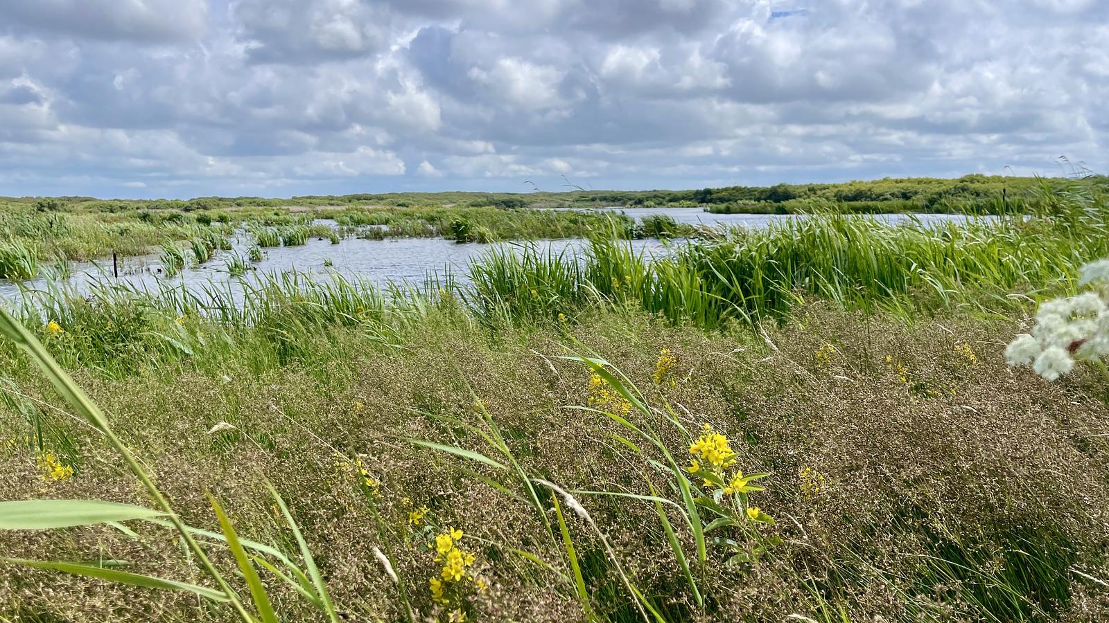 Natuur