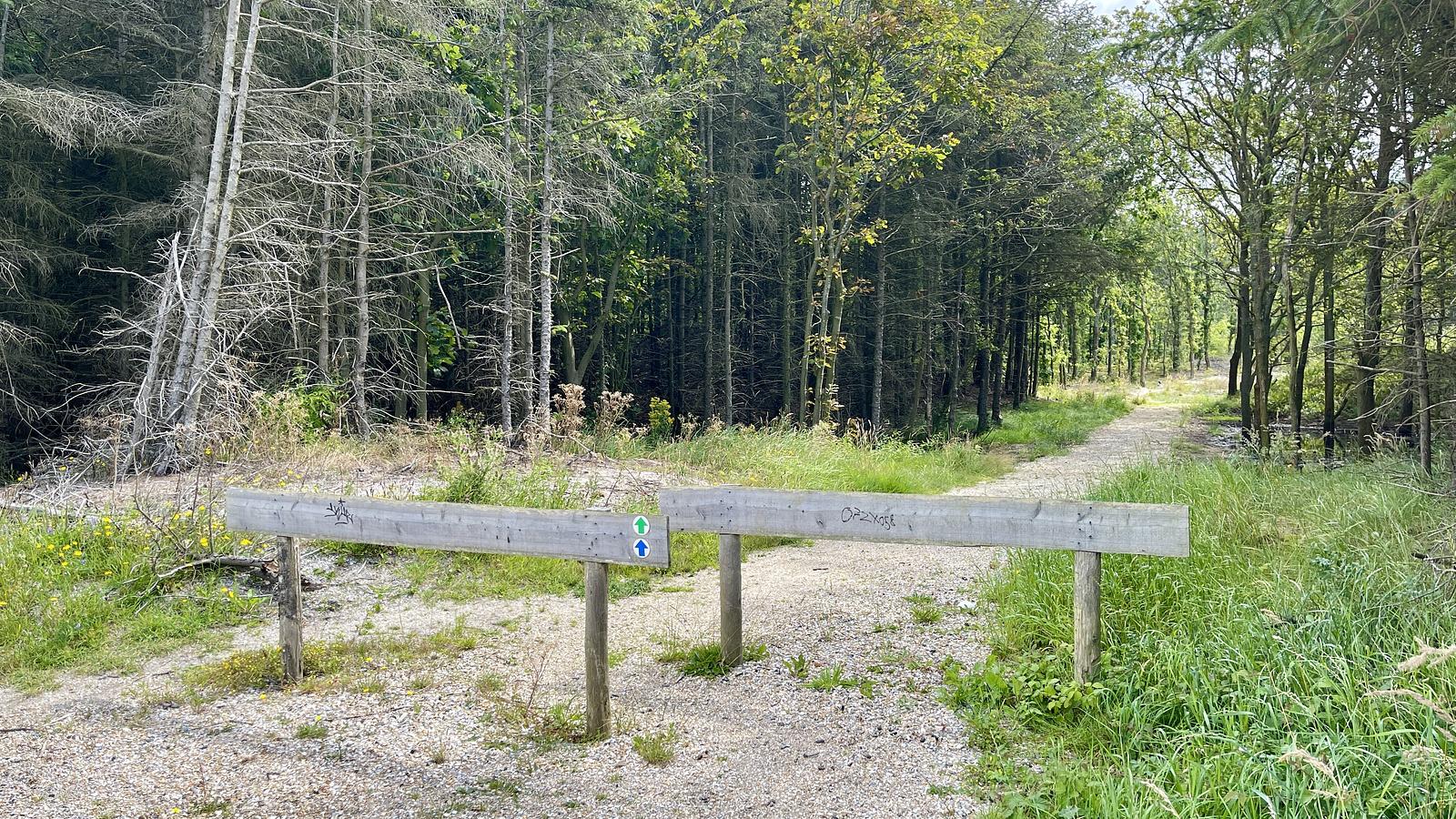 Pettemerbos