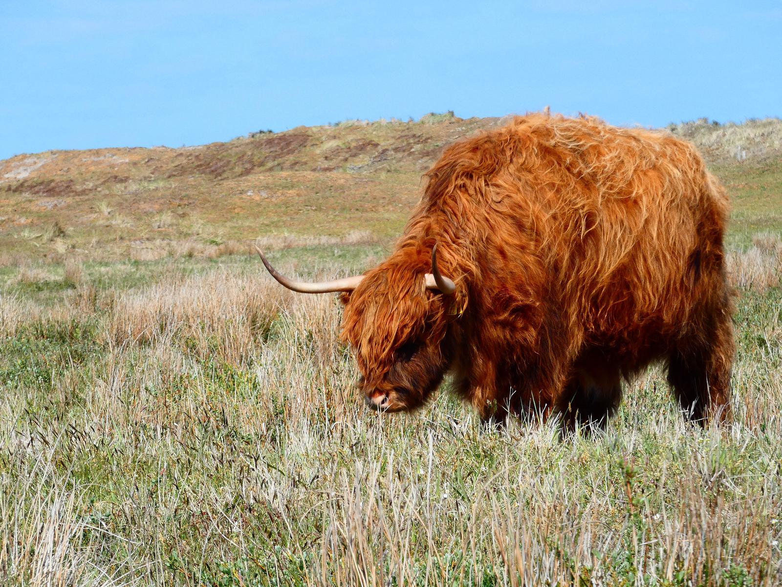 Duinen Groote Keeten