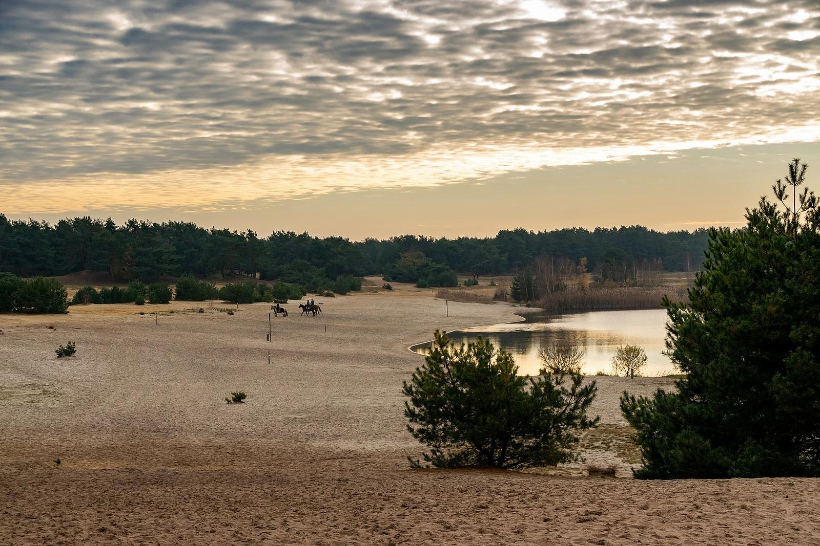 Vakantiepark EuroParcs Zilverstrand