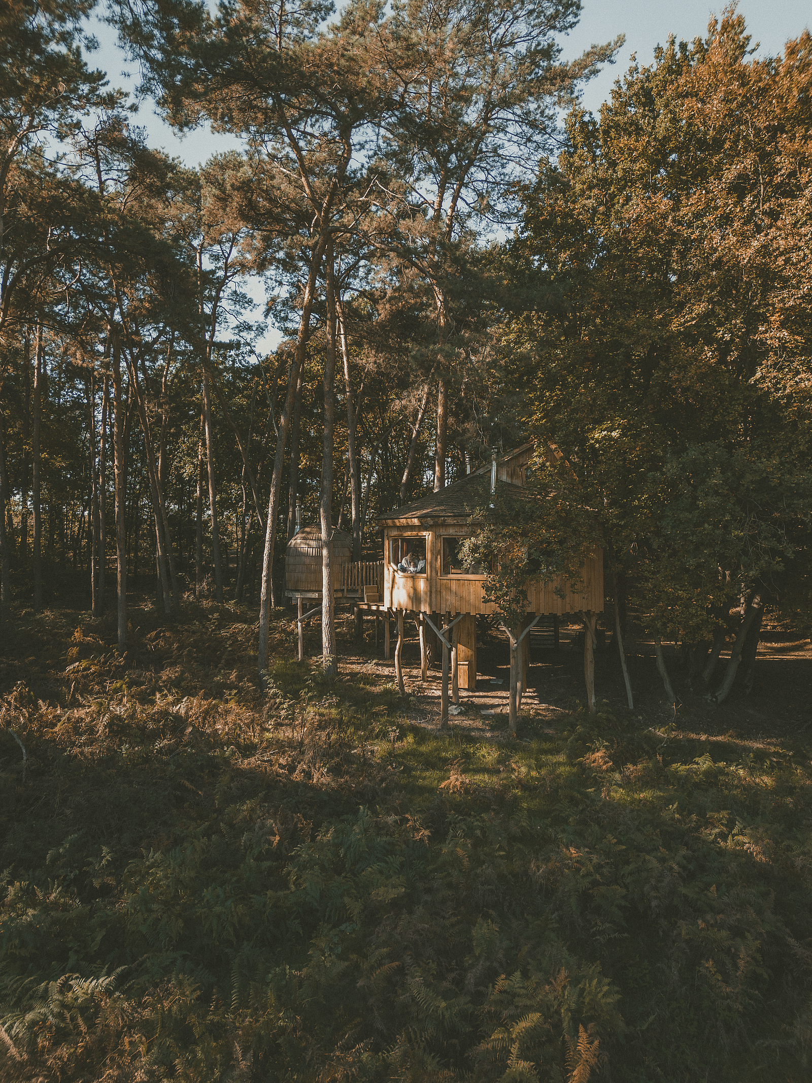 Vakantiehuis Maaseik