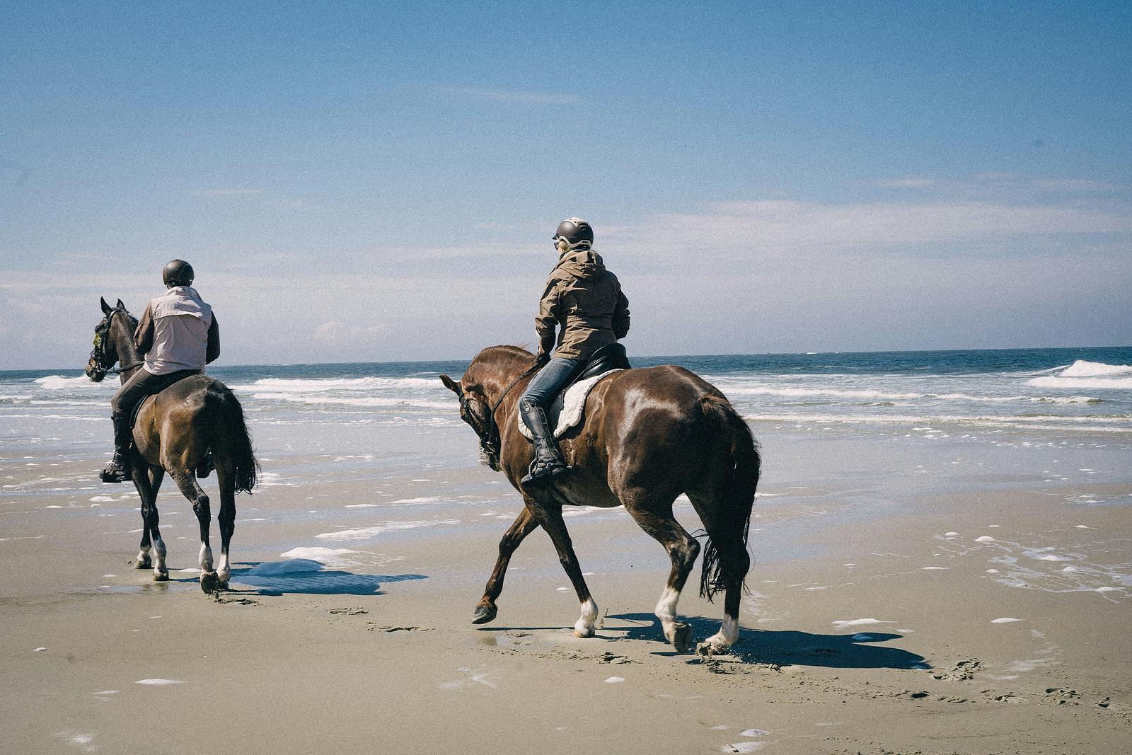 Activiteiten op Texel