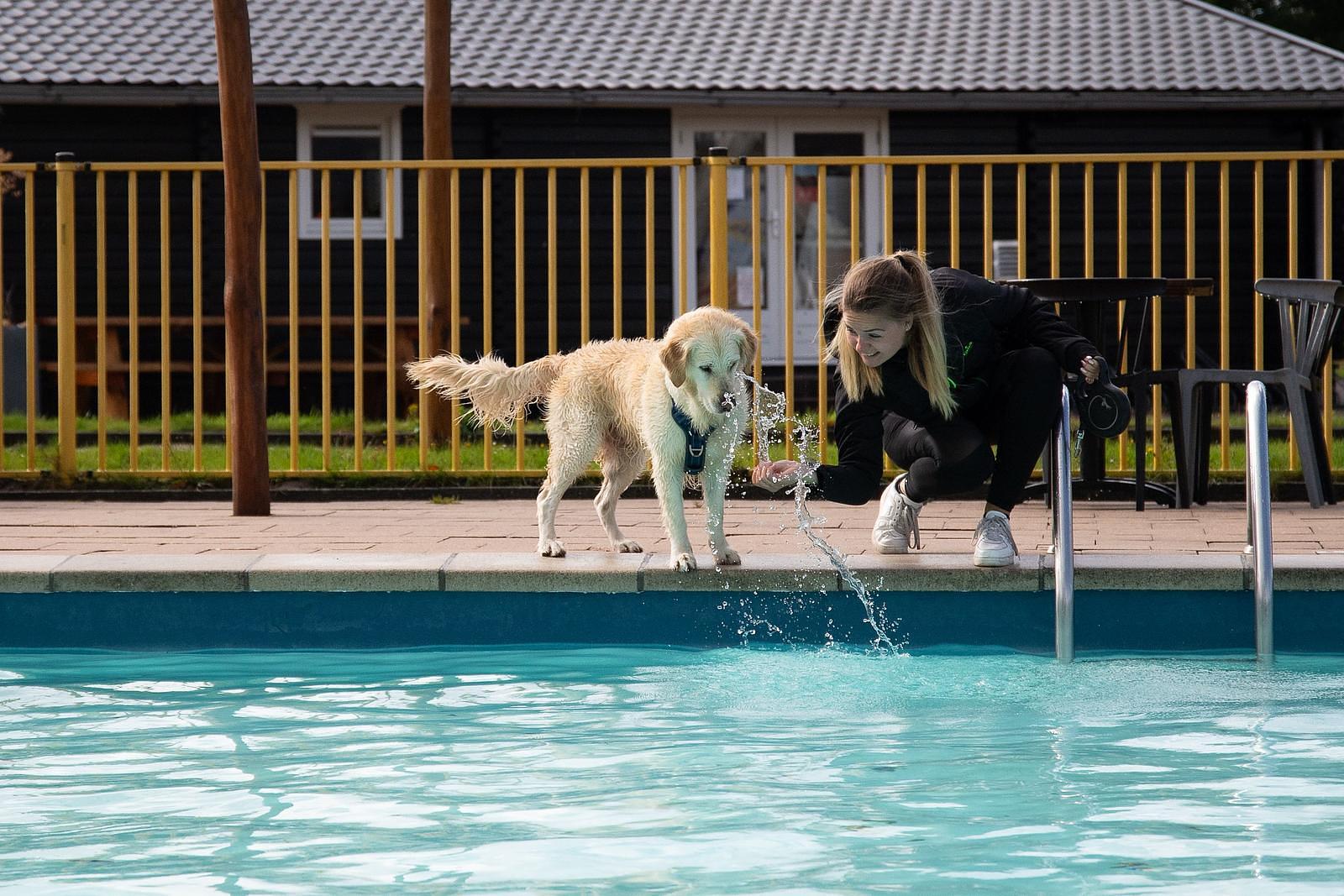 Hunde willkommen