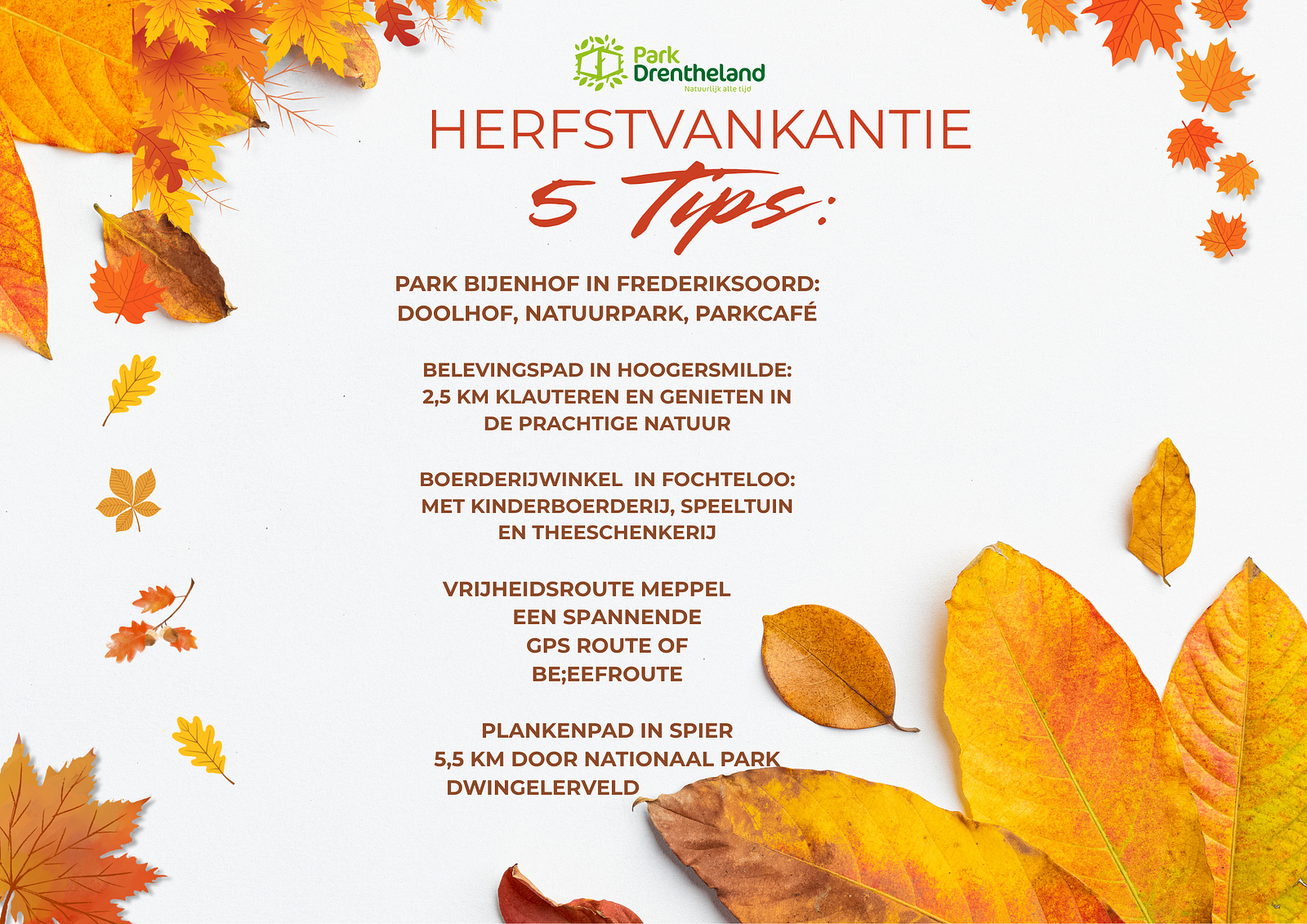 5 verrassende herfsttips in de omgeving van Park Drentheland