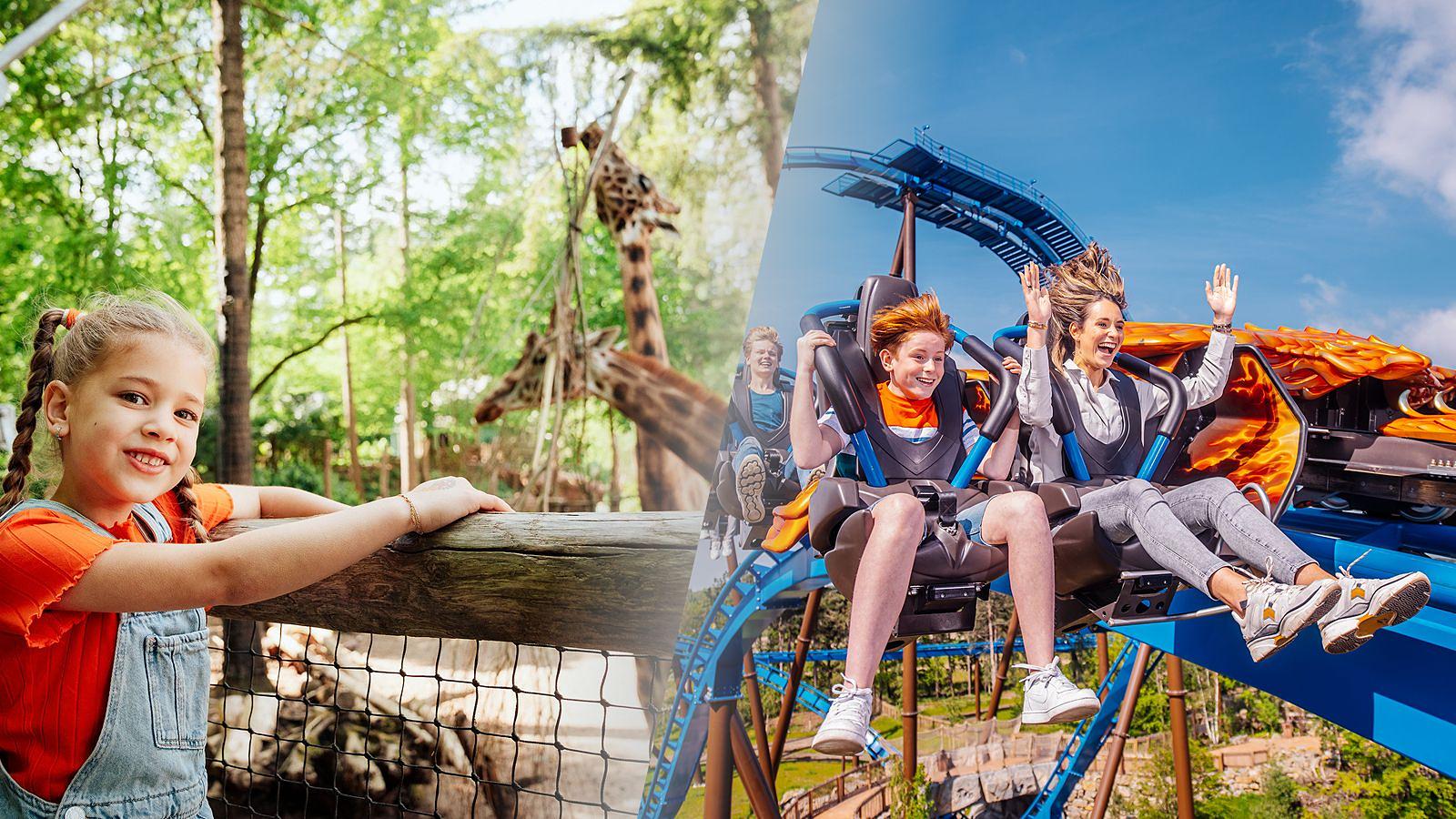 Tickets für Ausflüge 