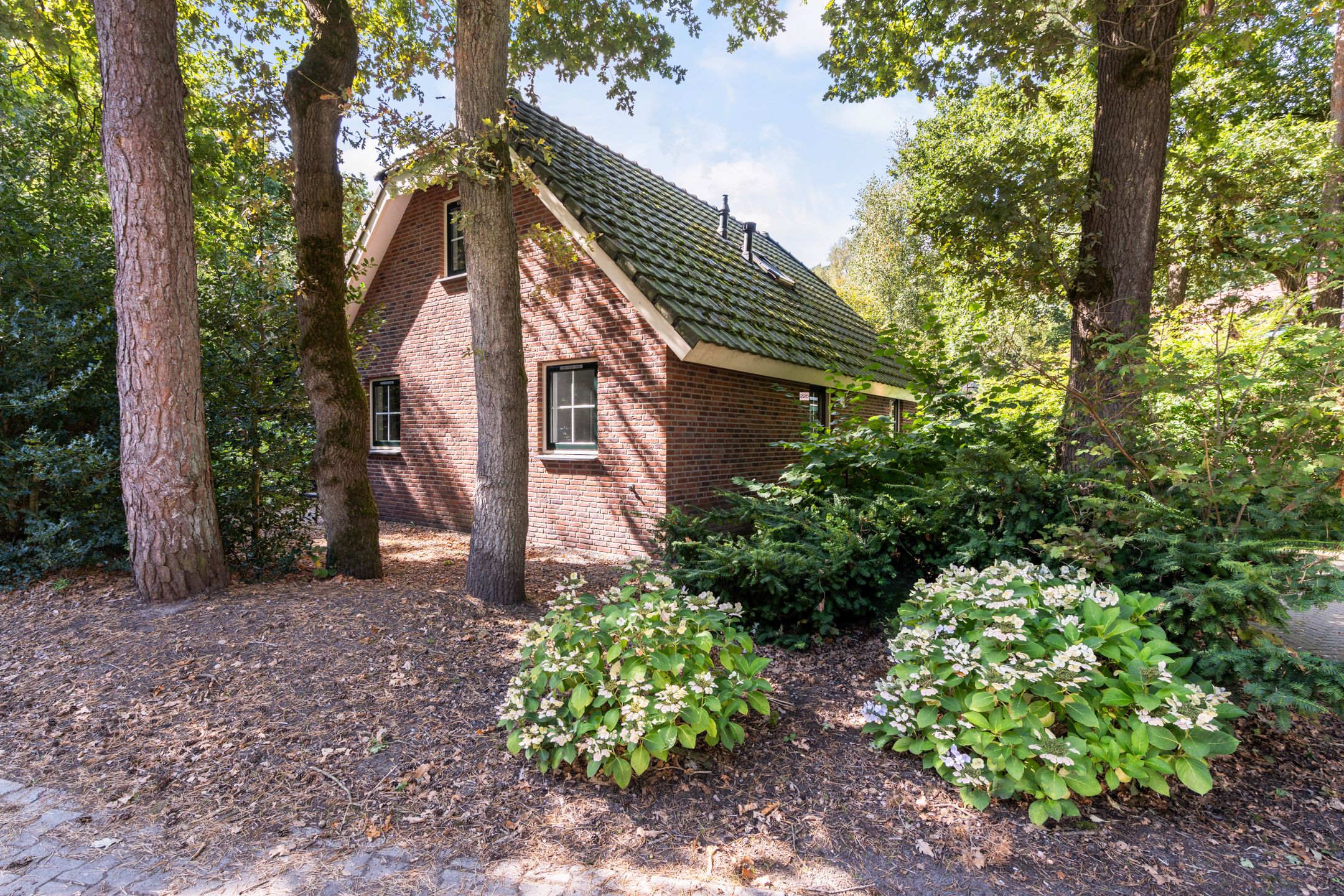 Te koop: Te koop zonnig gelegen Eikenhoeve nr 220