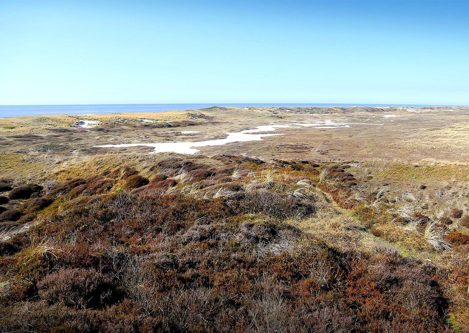 Betekenis vlaggen strand
