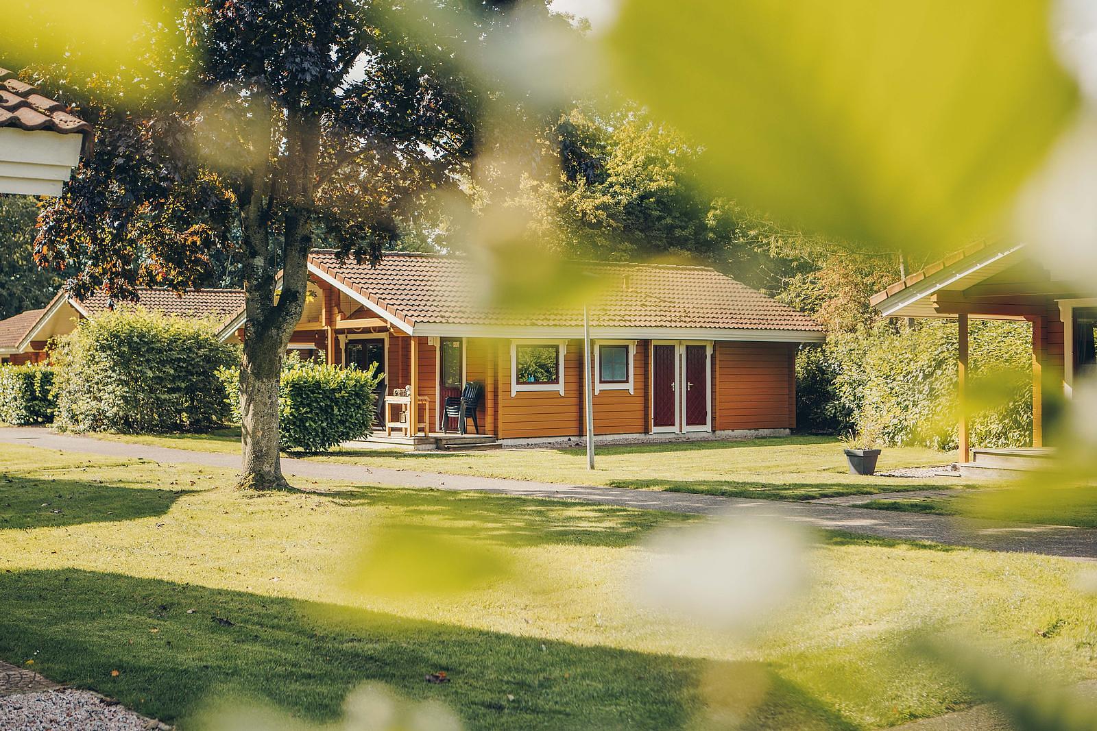 Vakantiehuisje Overijssel met hond