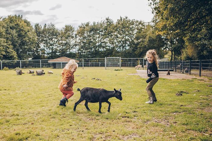 't Hooge Holt in Gramsbergen — foto 2