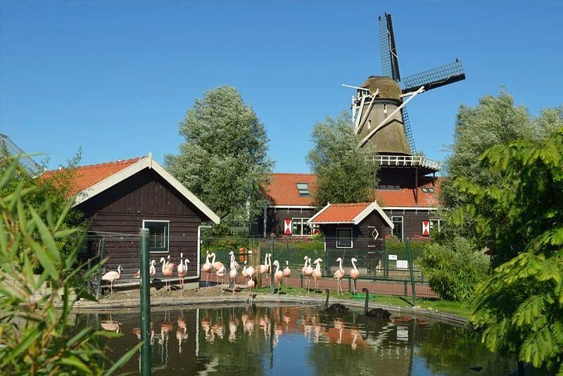 blanckendaellpark vijver