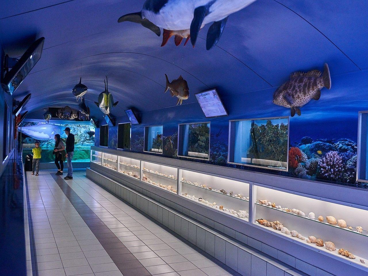 Zee Aquarium Bergen aan Zee
