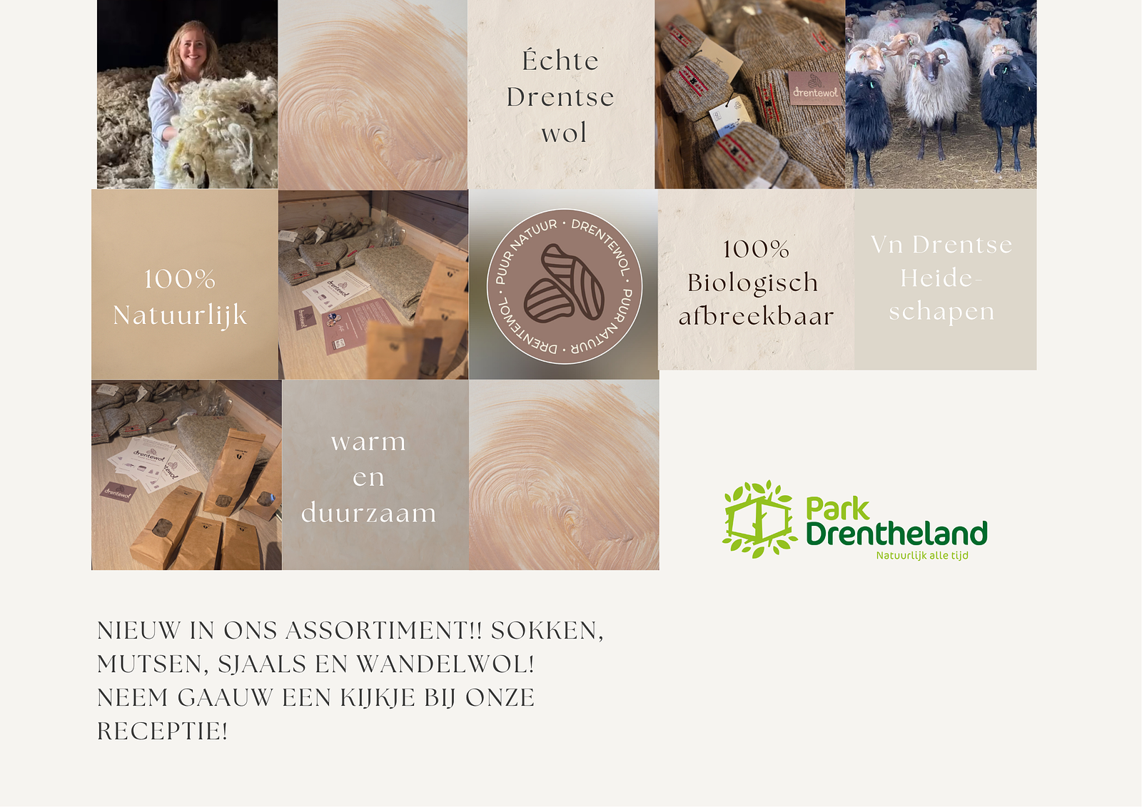 Drentewool im Minimarkt