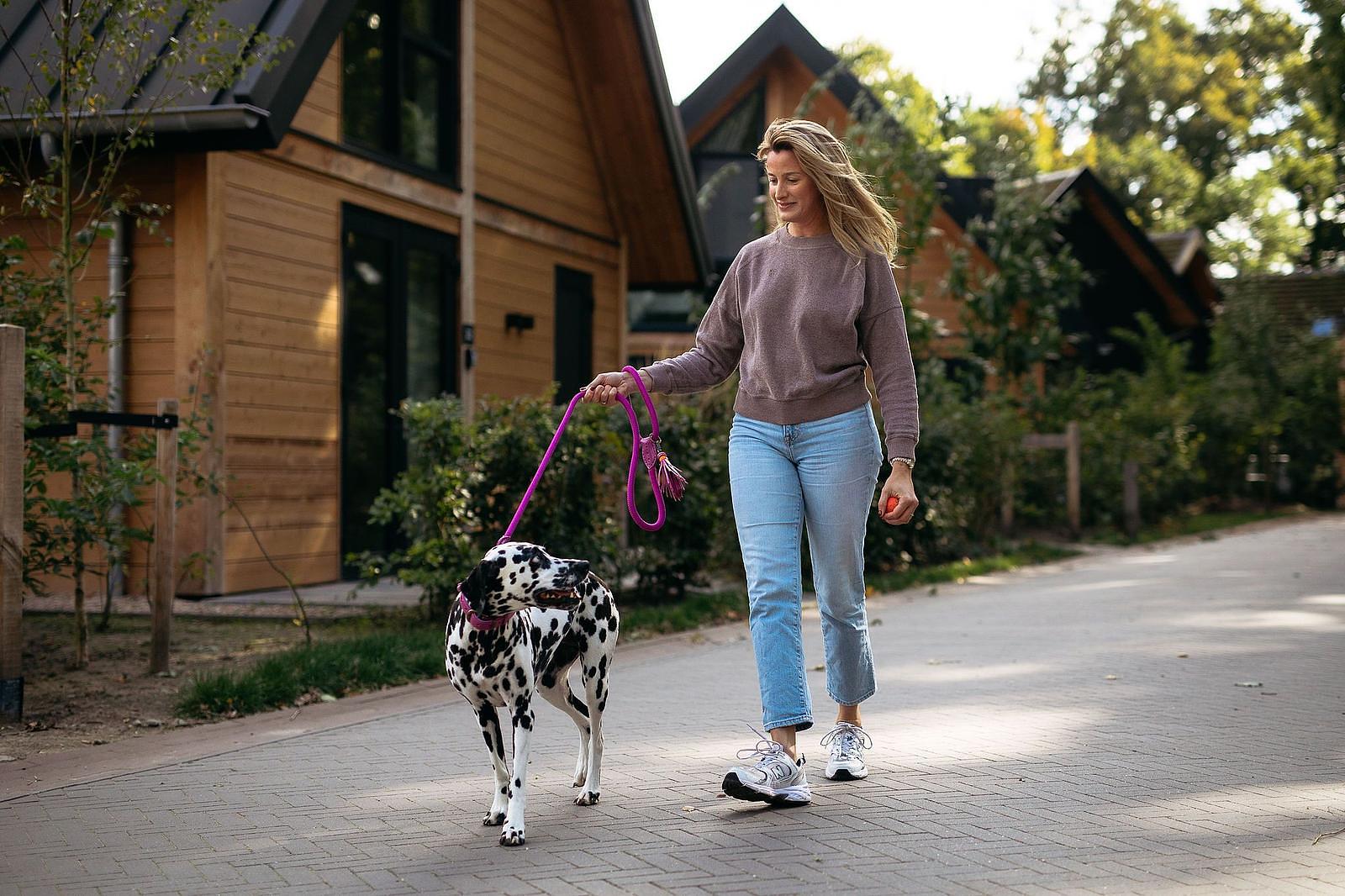 veluwe honden weken