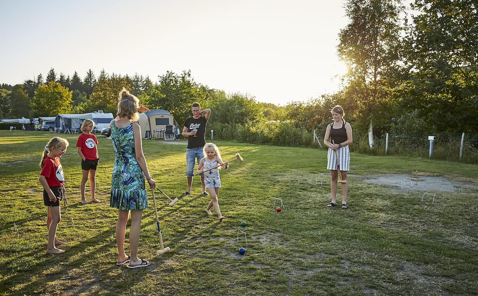 Activiteitenkalender