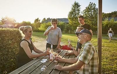 Bryrup Camping in Bryrup — foto 4