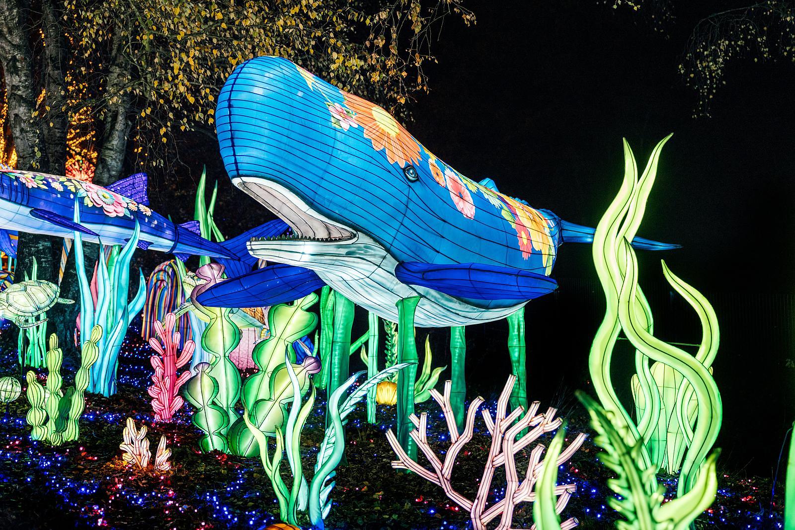 Safaripark Beekse Bergen