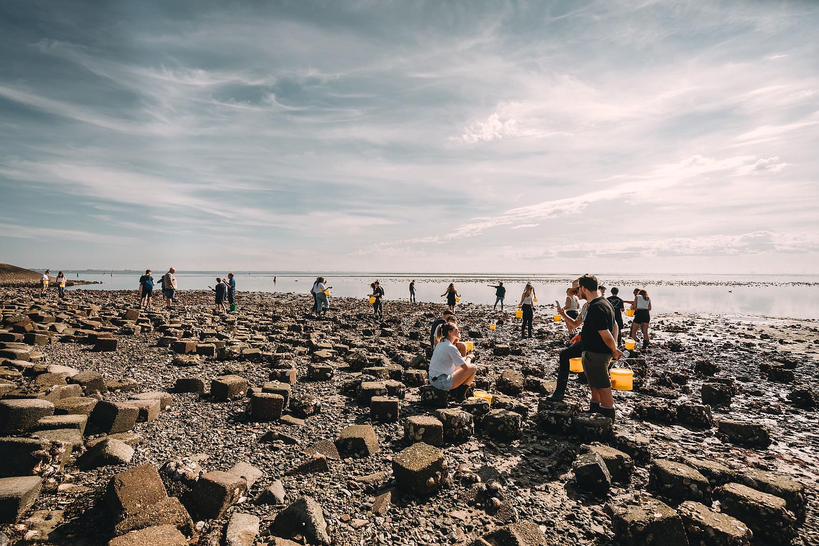 Veranstaltungen Oysterduinen