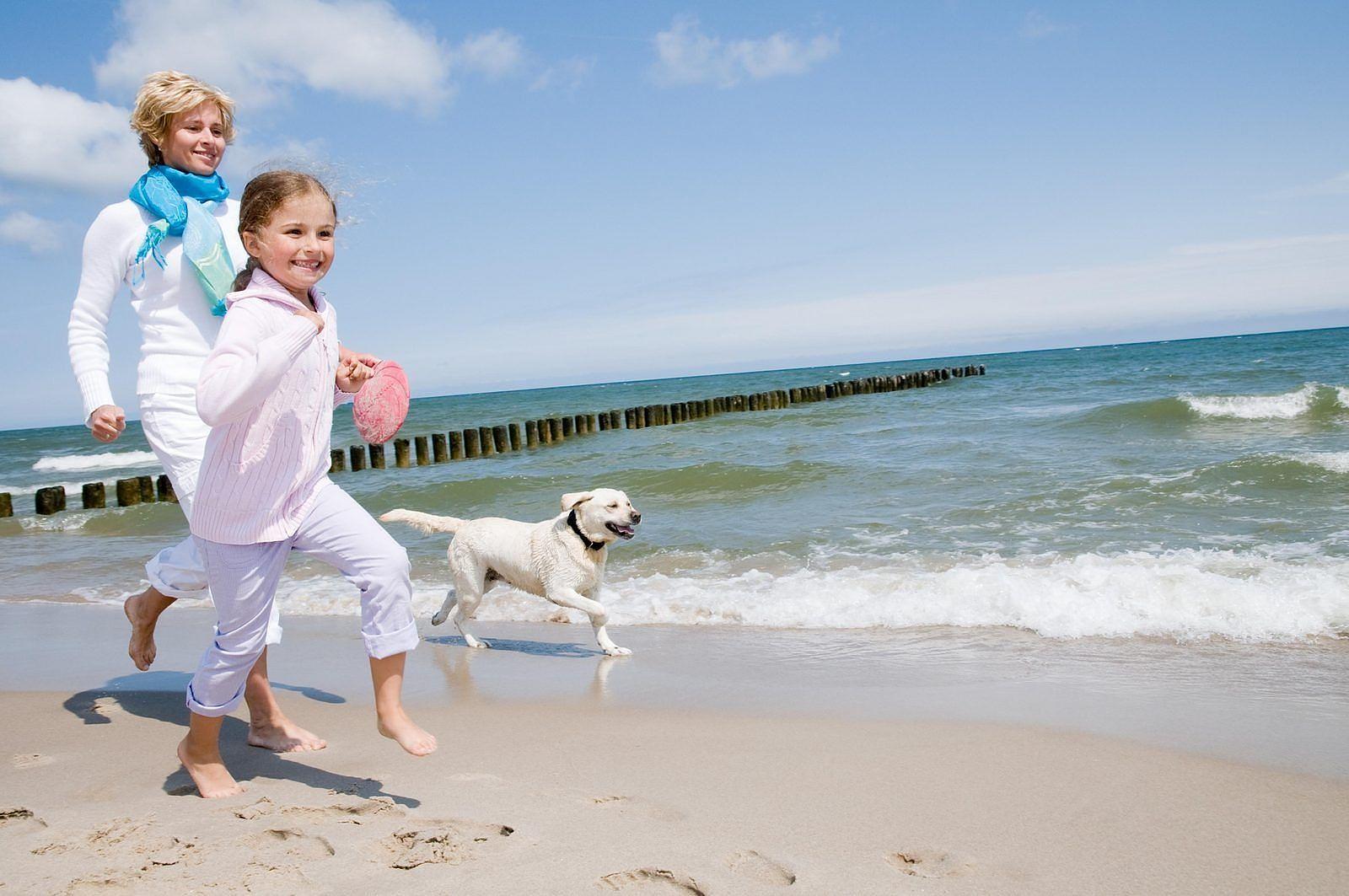 Vakantie België met hond