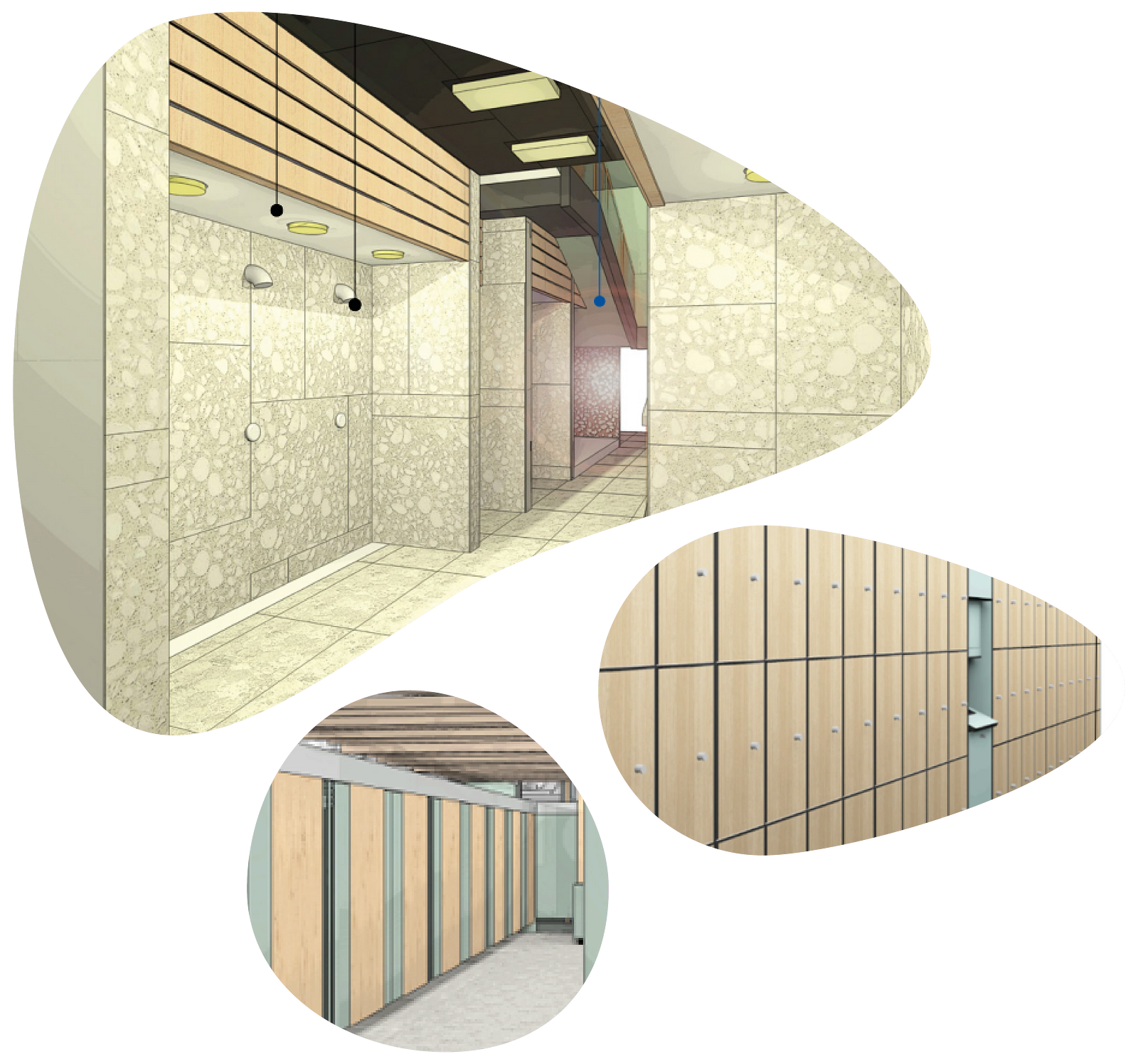 Vernieuwing zwemparadijs