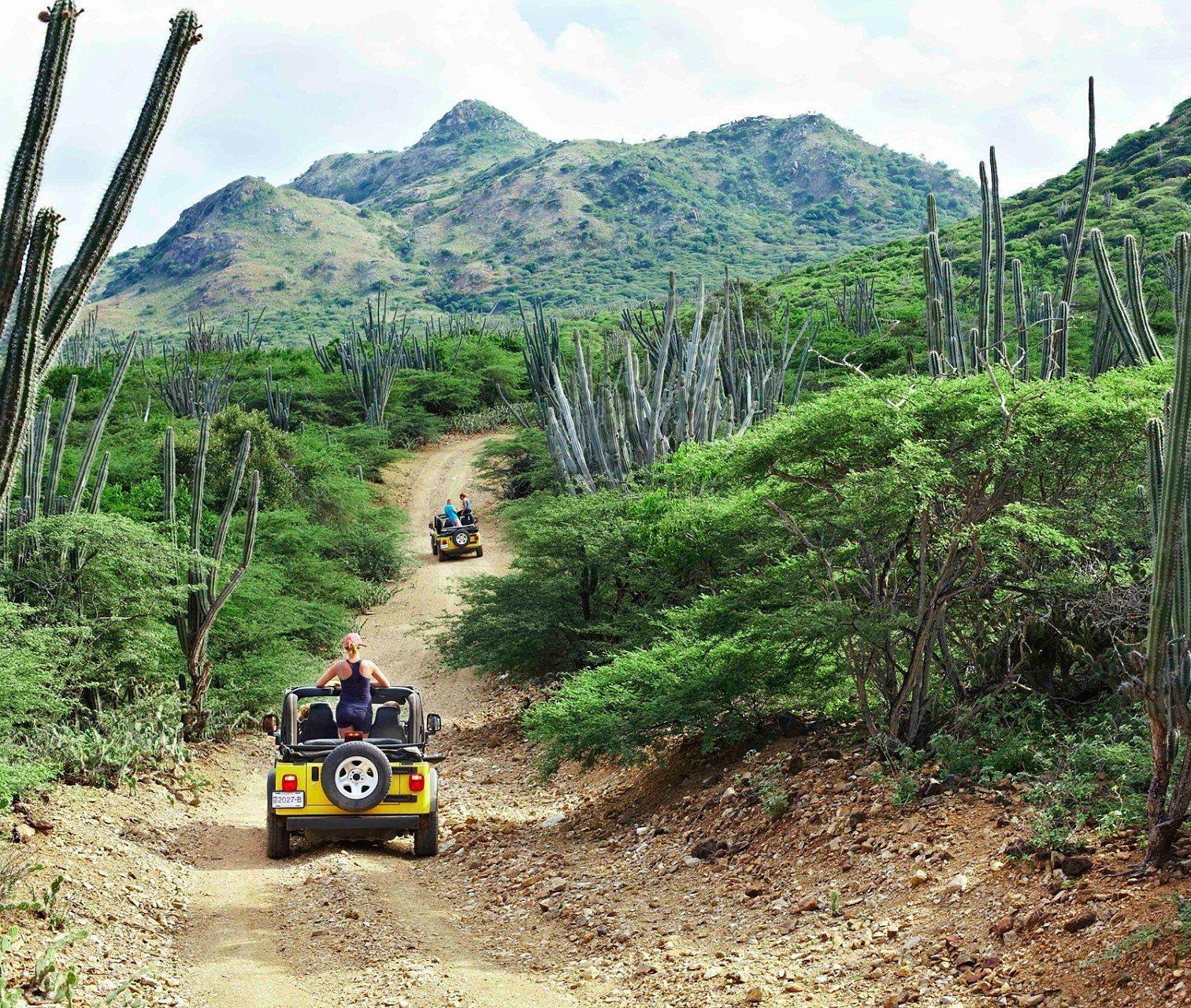 Image of jeep driving along dirt road in nature