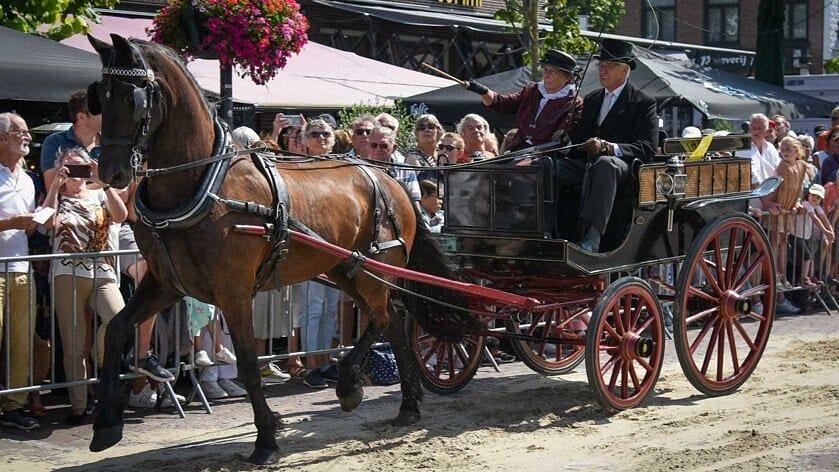Ringstekerij Schagen