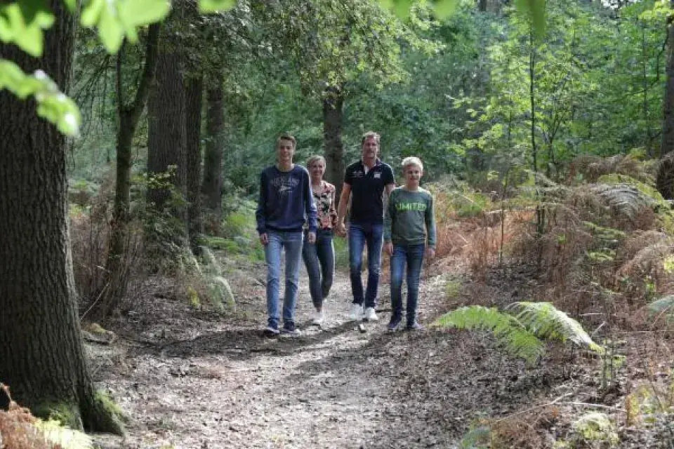 afbeelding van wandelend gezin in het bos
