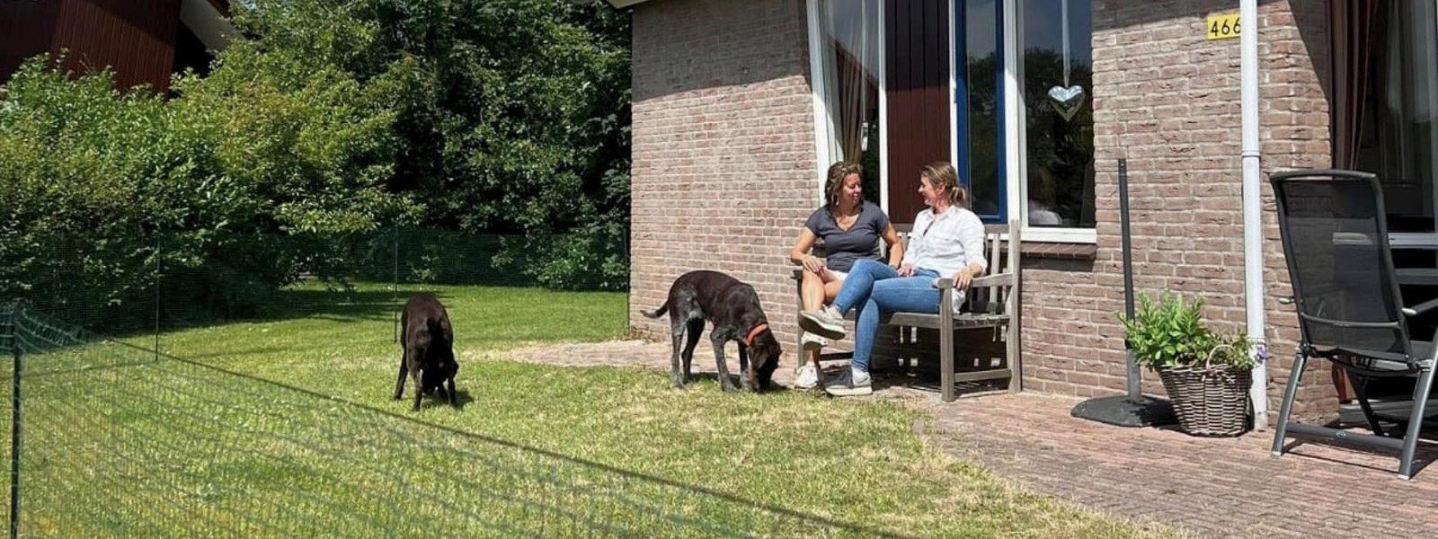 Hondvriendelijk vakantiepark op Texel Honden genieten van de tuin bij de vakantiehuisjes op vakantiepark De Witteberg op Texel.