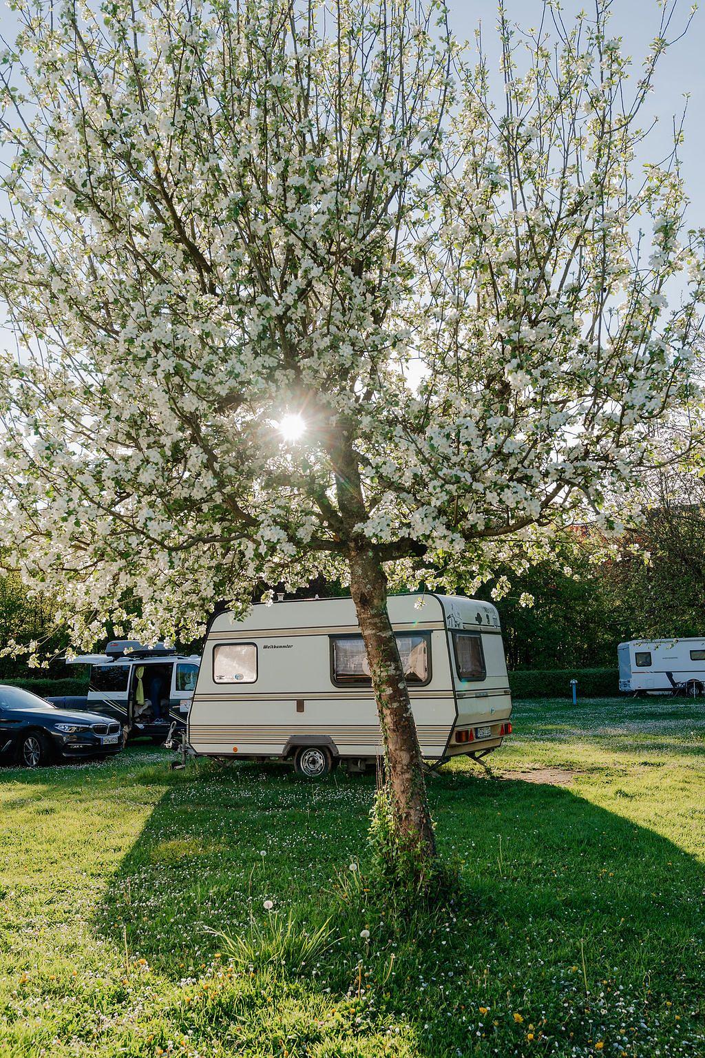 Camper kopen in Nederland