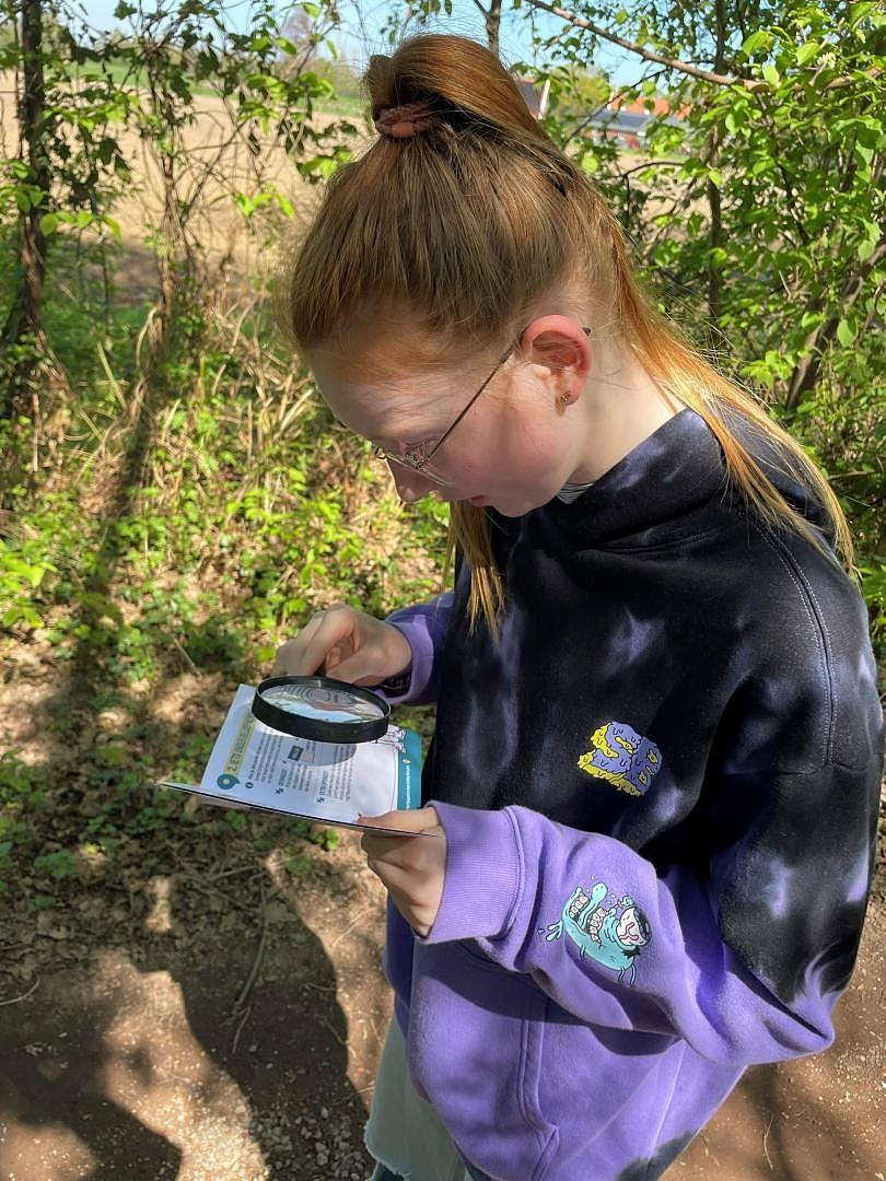  Einzigartiger Sprichwortpfad