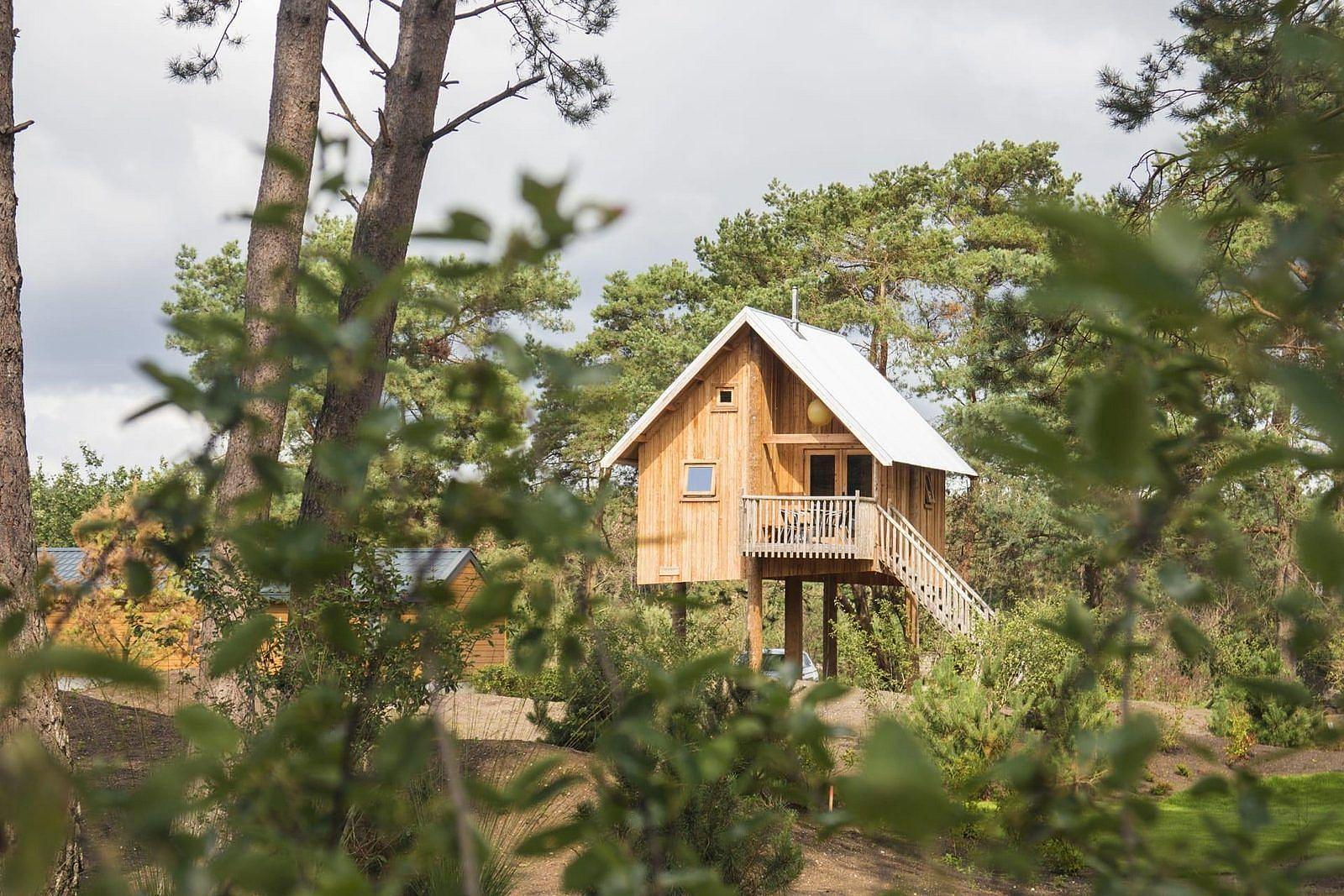 Forest cottage in the Veluwe