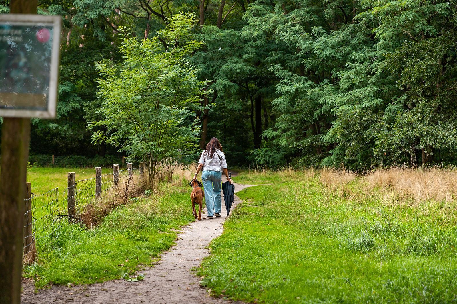 Vakantiehuis met hond