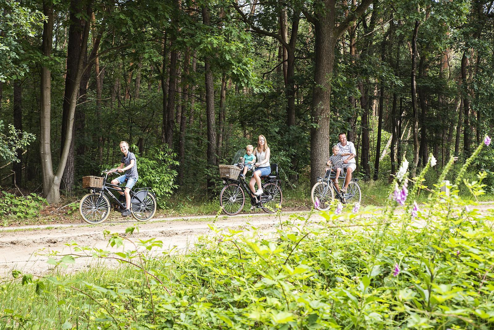 Omgeving Hilgerszand