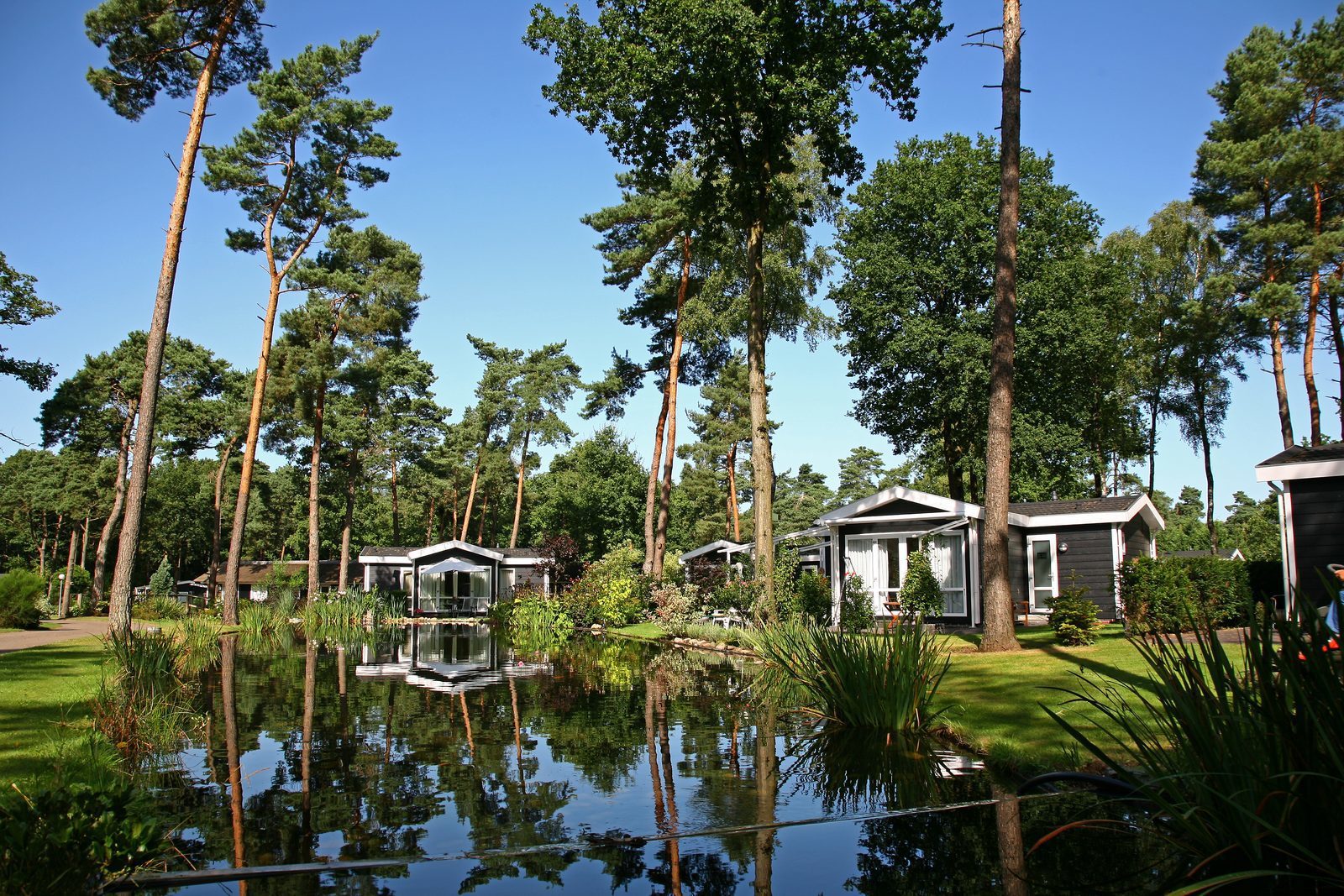 Vacation park near Rijssen