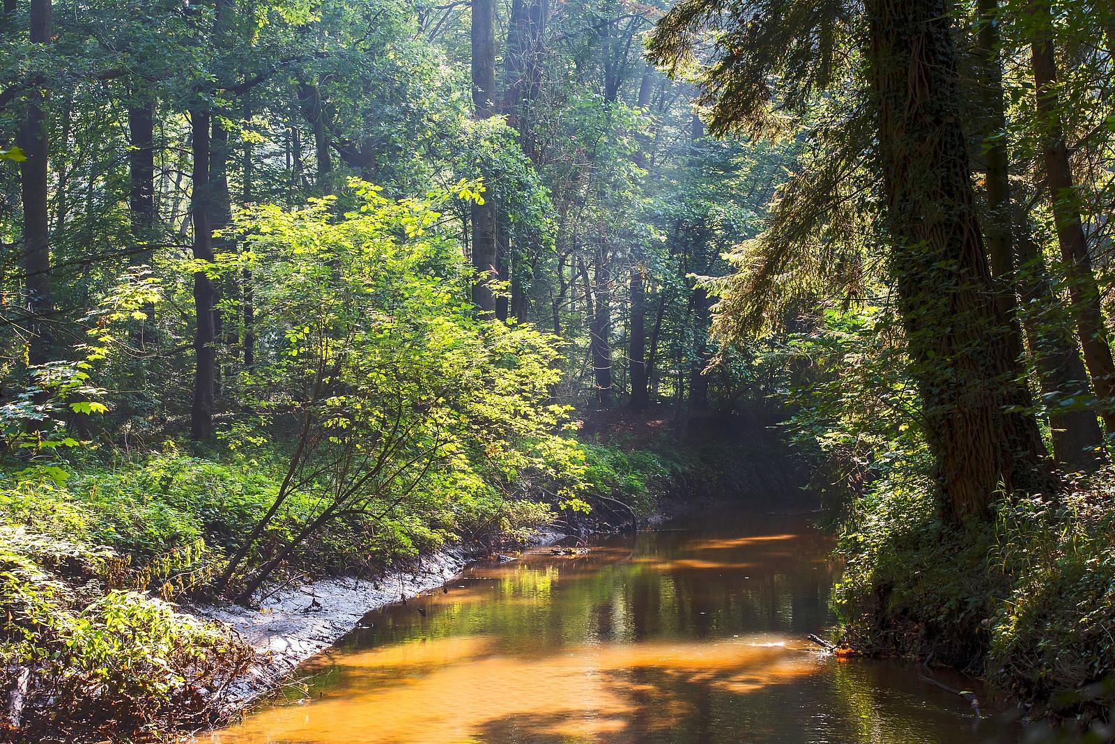 Omgeving Hilgerszand