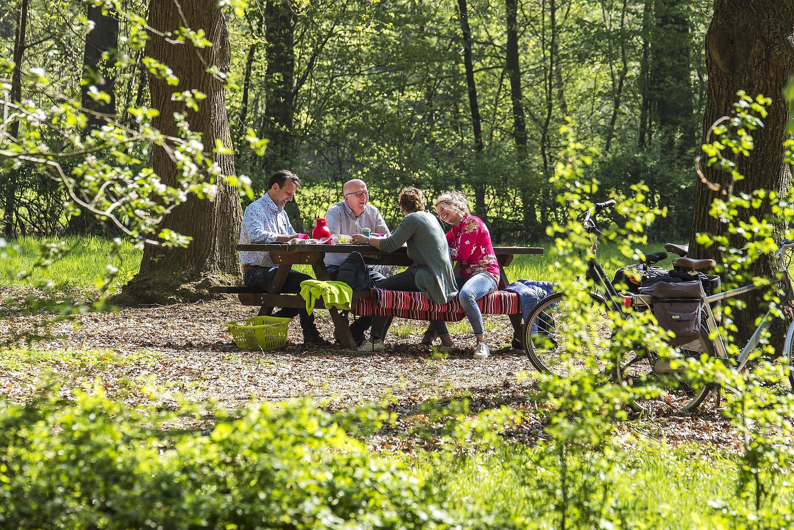 Camping Achterhoek