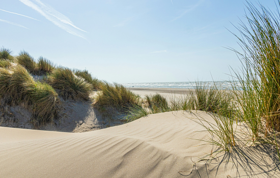 Duinen strand