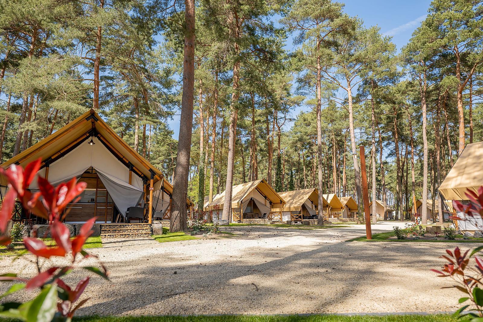 Glamping Belgium
