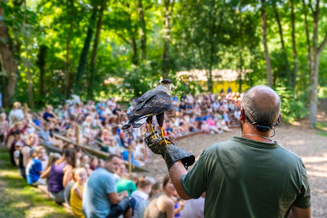 Roofvogelshow
