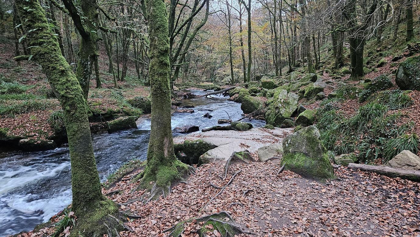 The Ohana Edit, blog header image