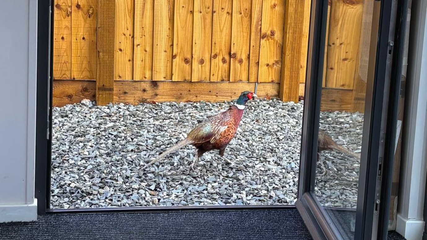 The Ohana Edit, blog header image