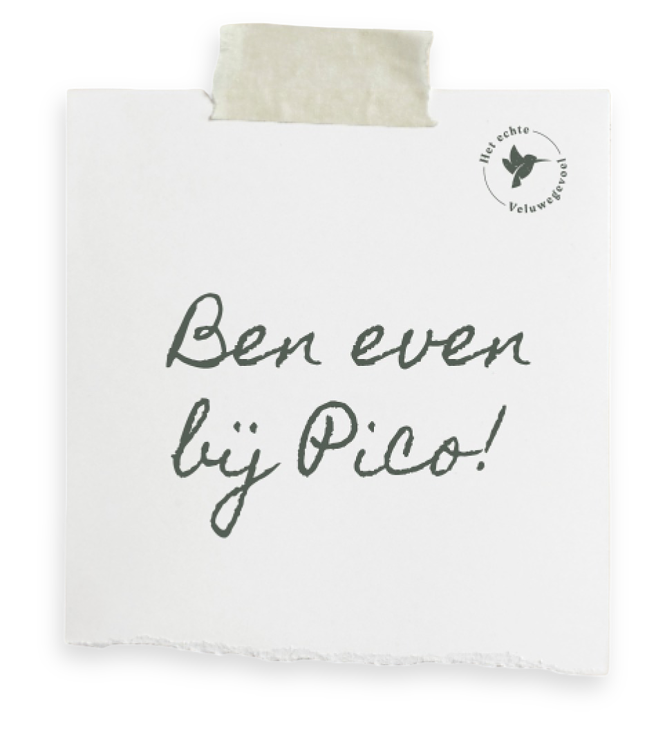Ben even bij Pico! post-it