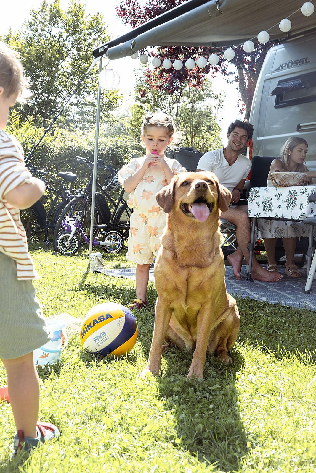 Camping mit Hund am Natterer See in Tirol