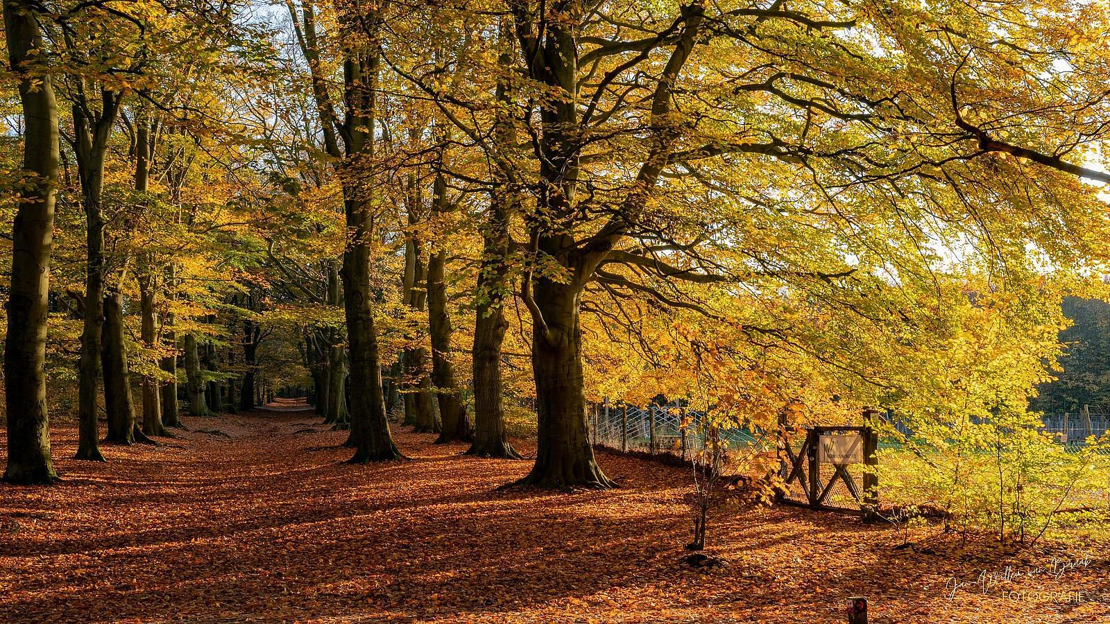 herfstvakantie
